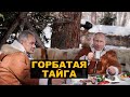 Неуклюжий пиар Путина в тайге или что пошло не так