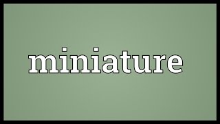 Miniature Meaning