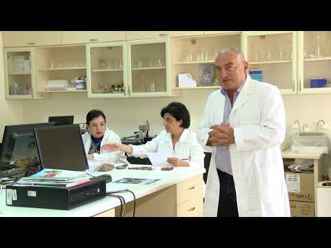 სამეცნიერო კვლევითი ცენტრი აზიური ფაროსანას საქართველოში აღმოჩენილ შესაძლო ბუნებრივ მტერზე