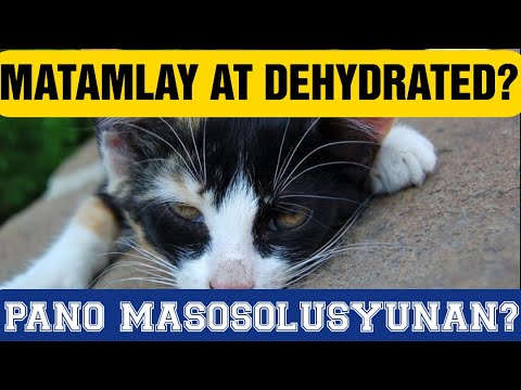 Video: Mga Sintomas Ng Dehydration Ng Cat - Pagkatuyot Sa Cats