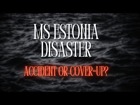 Kiwisunset Leak: The Untold Story Of The Cover-Up