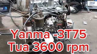 Yanma 3T75 | tua 3600rpm | mã 1079 | LH 0988787682 | 0938312207 | 0982656165