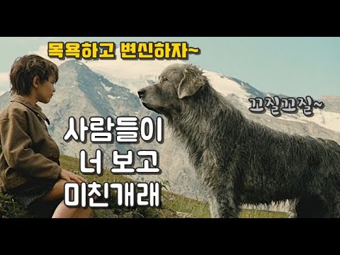 사람들이 죽이려는 떠돌이개를 지키려는 소년 (결말포함 영화리뷰 , 강아지)