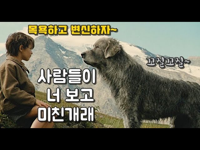 사람들이 죽이려는 떠돌이개를 지키려는 소년 (결말포함 영화리뷰 , 강아지)