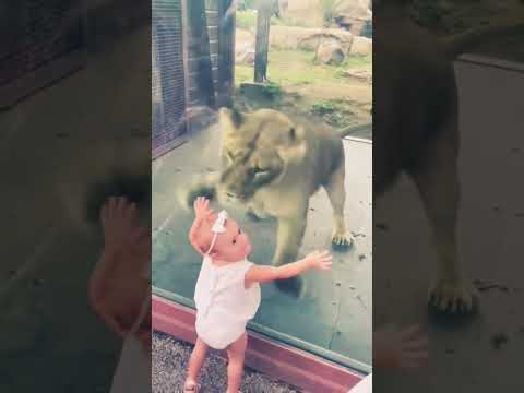 Viral funny Video