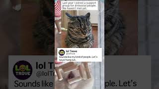 Introverts Forming A Support Group