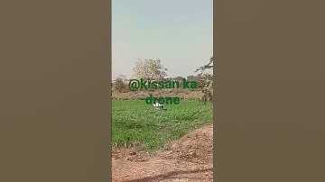 #shorts  Safe Landing Drone Pilot Training