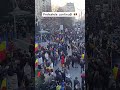 Protestele din capitala! 🇹🇩🌎 #bucuresti #mafie #protest