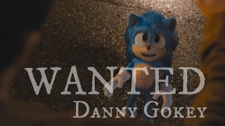 Wanted - Danny Gokey Amv Sonic The Hedgehog