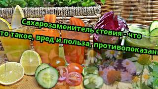Сахарозаменитель стевия - что это такое, вред и польза, противопоказания Сахарозаменитель стевия - что это такое, вред и польза, противопоказания