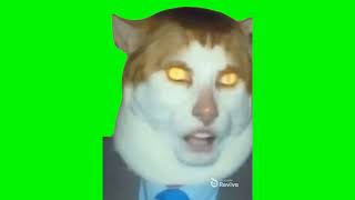 Monday Left Me Broken Cat Meme (Green Screen)