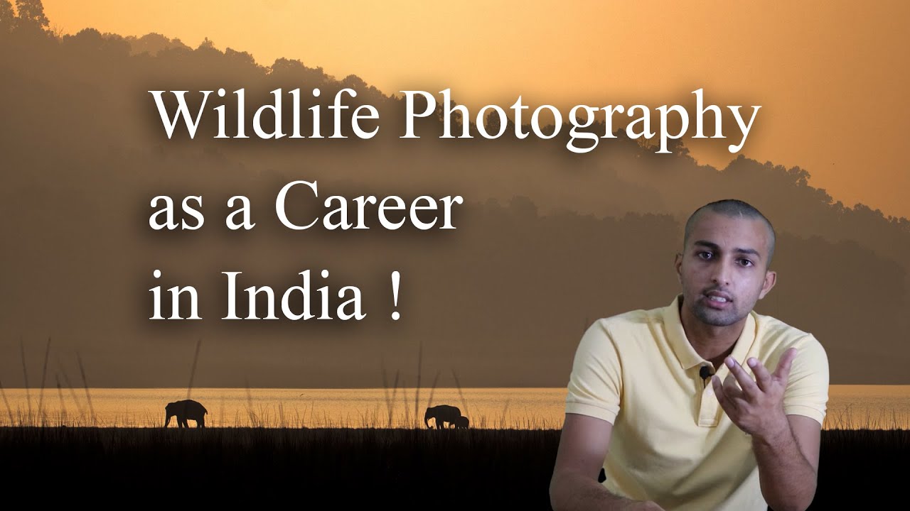 Wildlife Photography As A Career In India Salary Skills Life Wildlife Photography As A Career In India Salary Skills Life