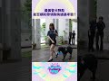 警犬定力超狂！不為所動直接破關！#Fighting時間시간 #啦啦隊 #朴恩惠 #棠棠 #孫孫 #實境秀 #警犬隊應援 #超萌警犬 #魔性干擾 #shorts