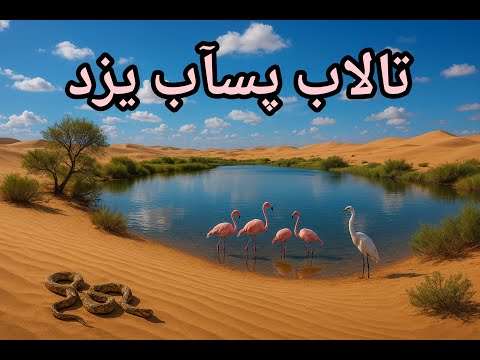 تالاب پس آب یزد در دل کویر و موجودات ناشناخته آیا جهش هورمونی واقعیت دارد یزد کویر تالاب