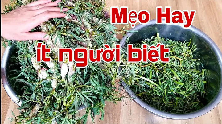 Top 19 cách nhặt rau rút
