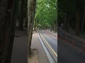 💕금오산👍산책길🌷🌷🌷🌷🌷🌷