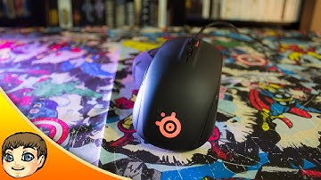 Well-Rounded Budget Mouse | SteelSeries Rival 100 Review