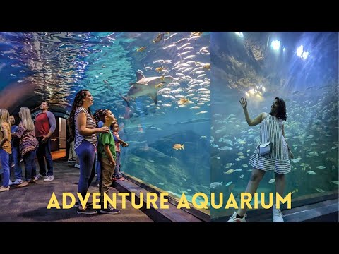 Adventure Aquarium|Camden NJ USA|Sharks Tunnel|Underwater Zoo |Malayali Travel Vlog|Family Side Trip