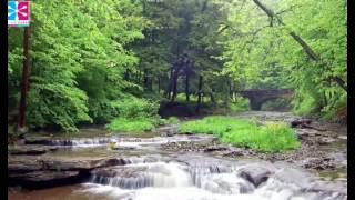 Sufi Music I Rumi Poetry - HU - The Zikr by Anandmurti Gurumaa (New) | Sufi Zikr Meditation