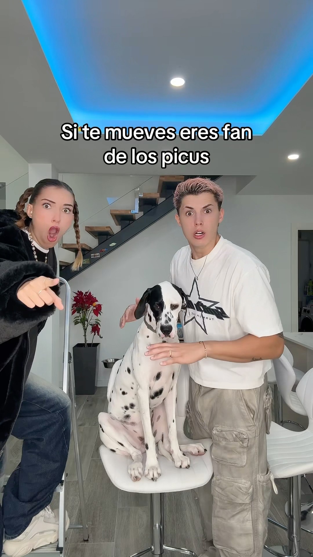 Quién es fan??
