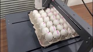 Egg Printing Machine