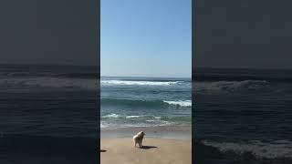 Waiting On A Friend - The Rolling Stones