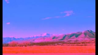 Zane Alexander - New 001 (Lyric Video)