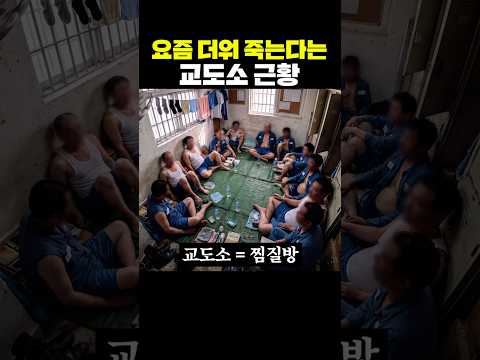 요즘 <strong>더워</strong> 죽는다는 교도소 근황