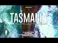 Documentaire sur la tasmanie 4k  faune  paysages et nature daustralie  documentaire original