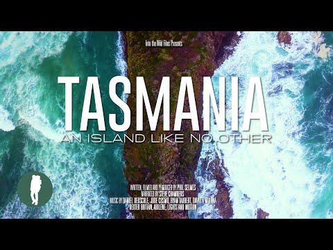 Vídeo: Mar da Tasmânia: localização, clima, flora e fauna