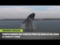 Puerto Madryn sin turistas pero colmada de ballenas
