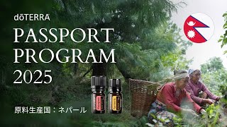 doTERRA パスポートプログラム 2024 セット (ピーチ) すーぴょん様専用】 ドテラ パスポートプログラムセット2024