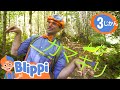 ブリッピと一緒にキャンプの楽しみ方を学ぼう！| ブリッピ 日本語 - 幼児向け教育動画 Blippi