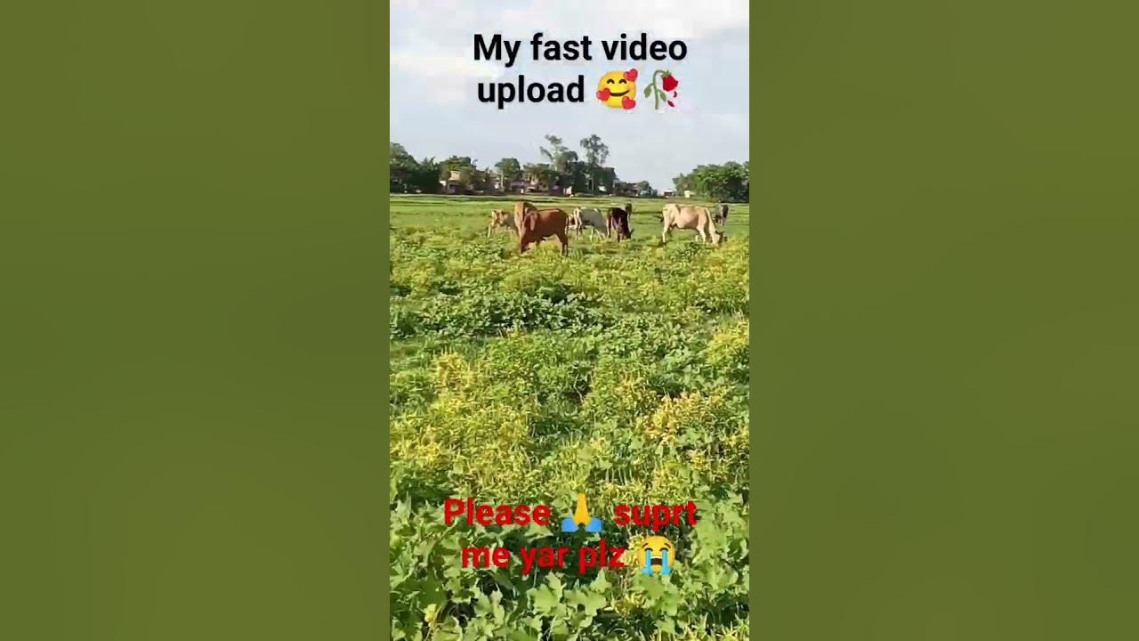 my-fast-vlog-my-first-vlog-viral-kese-huaa-my-first-vlog-meaning-in