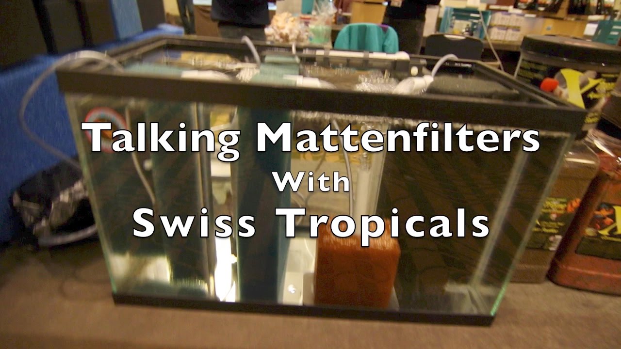 Talking Mattenfilters with Swiss Tropicals YouTube