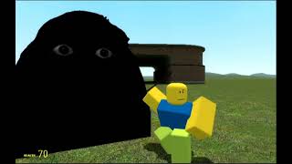 Angry Munci at Flatgrass
