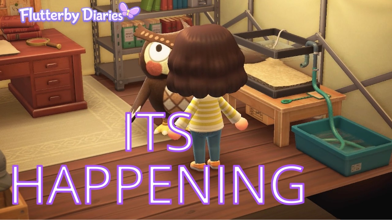 Building the Museum on Flutterby  | Animal Crossing