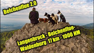 Wandern mit Hund - Belchenflue 2 0 by cocoshunter99 146 views 2 years ago 4 minutes, 3 seconds