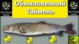 My Fishing World Обыкновенный Таймень ловим одного за другим