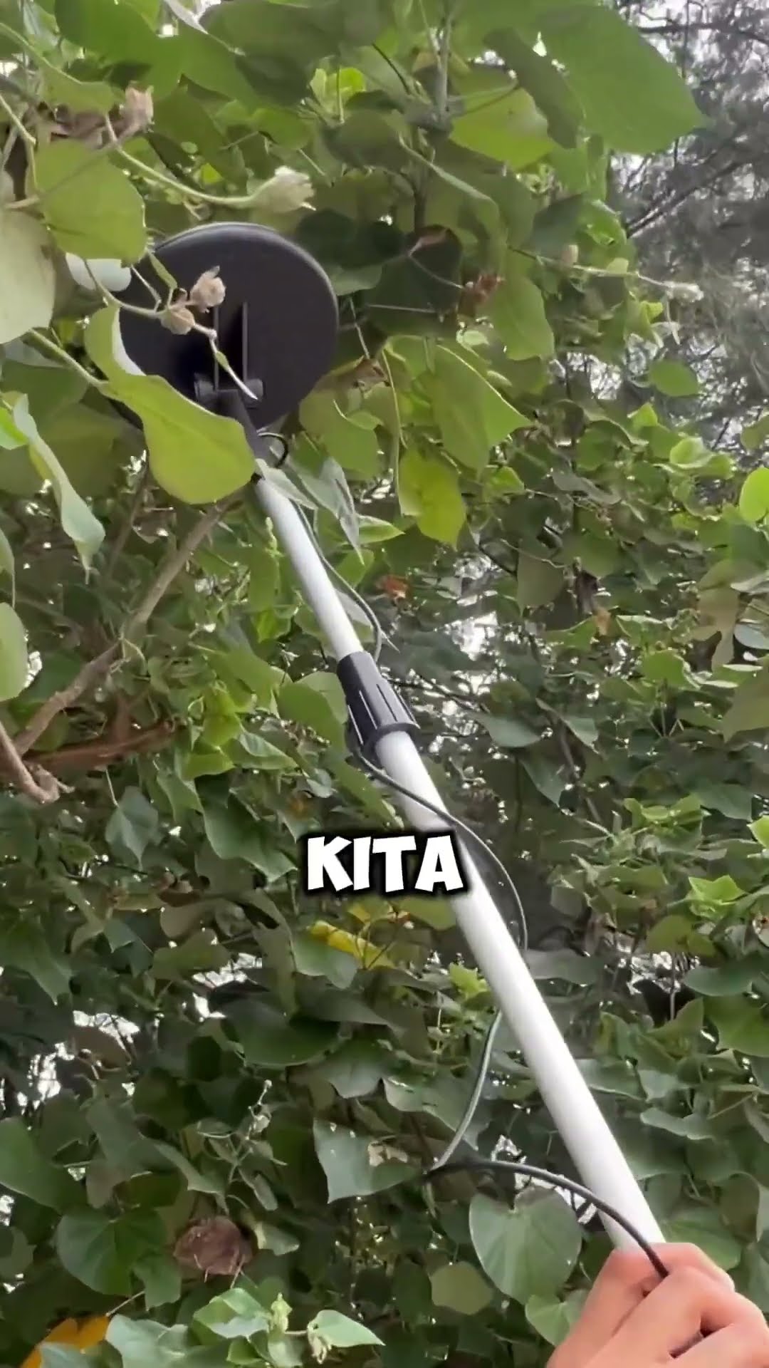 JANGAN DENGER POHON NANGIS!!