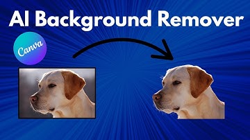 Canva AI Background Remover | How To Remove Background From Images In Canva?