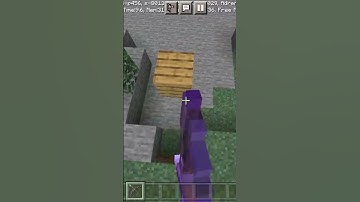 Minecraft Weird Logic (part -14) #Shorts