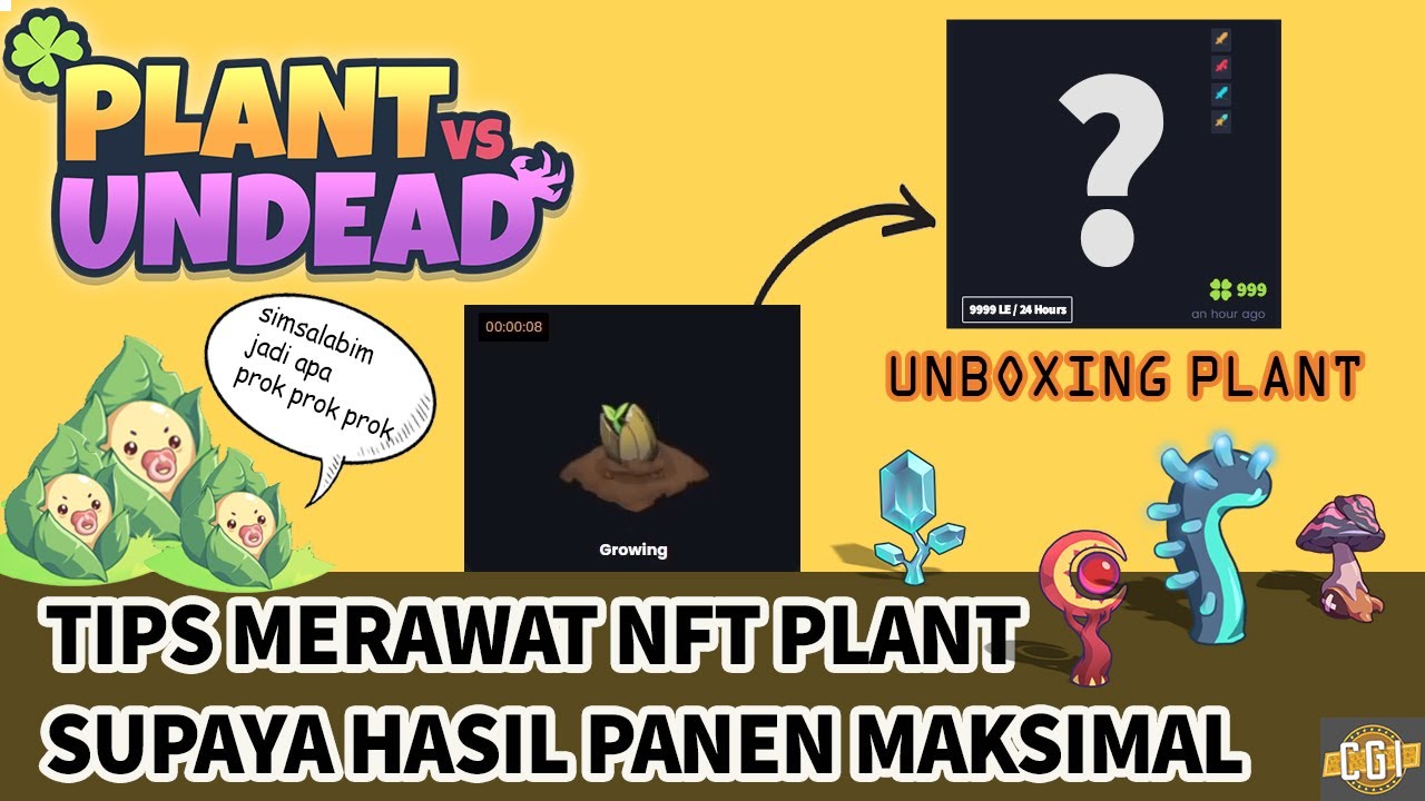 PLANT VS UNDEAD UNBOXING PLANT SERTA TIPS BAGAIMANA MERAWAT NFT PLANT
