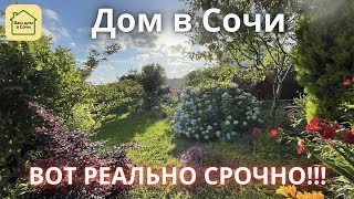 СОЧИ - ДОМ ПОД КЛЮЧ В РАЙСКОМ САДУ! строили себе, ЦЕНА НИЖЕ НЕКУДА! Вид на море, дом в Сочи