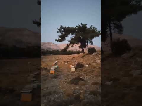 ξυμερωμα στο Σελάκανο