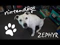 Meet My Nintendog Zephyr