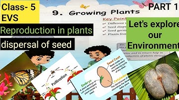 Growing plants/class 5 EVS/ APS # Let