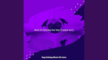 Pulsating Backdrops for Relaxing Pups