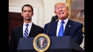 If Anyone Can Make The CIA Worse, It’s Tom Cotton