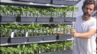 Richard Wiswall discusses the business of organic farming (4 minutes)